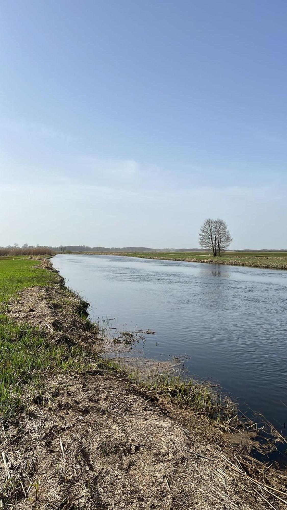 Biebrzanska Osada Stare Dolistowo Exterior foto